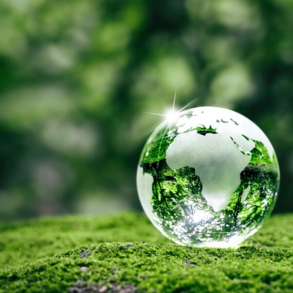 Danone Joins Major Food Companies on Sustainable Startup Program