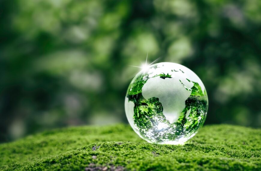 Danone Joins Major Food Companies on Sustainable Startup Program