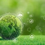 Sandland Packaging retains carbon-neutral status