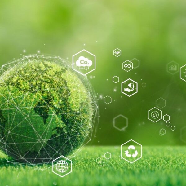 Sandland Packaging retains carbon-neutral status