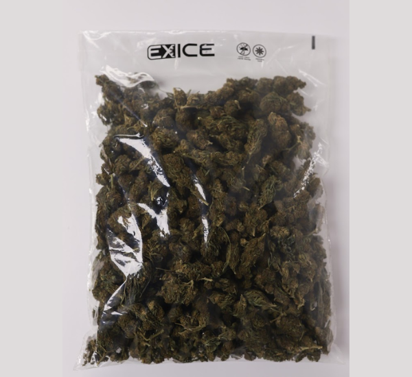 Grove Bags Releases Eco-Friendly Packaging for Frozen Cannabis