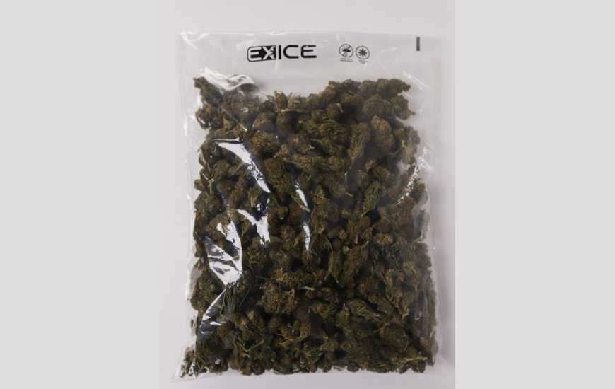 Grove Bags Releases Eco-Friendly Packaging for Frozen Cannabis