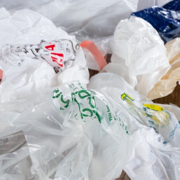 Plastic bag recyclers rally against Californian legislation