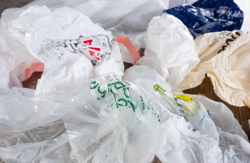 Plastic bag recyclers rally against Californian legislation