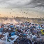 White House Announces Comprehensive Action Plan Against Plastic Pollution