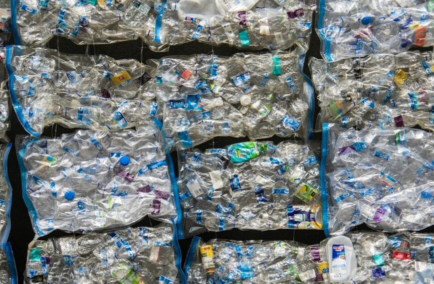 MIT researchers claim bottle deposit programme may raise PET recycling rate