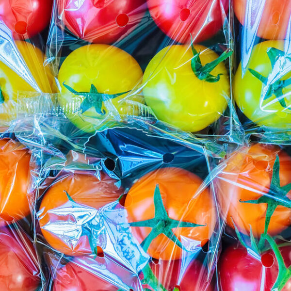 Eco-Friendly Packaging: A Cornucopia of Innovation