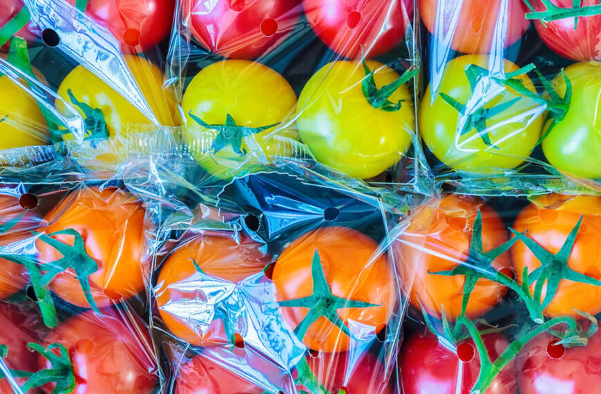 Eco-Friendly Packaging: A Cornucopia of Innovation