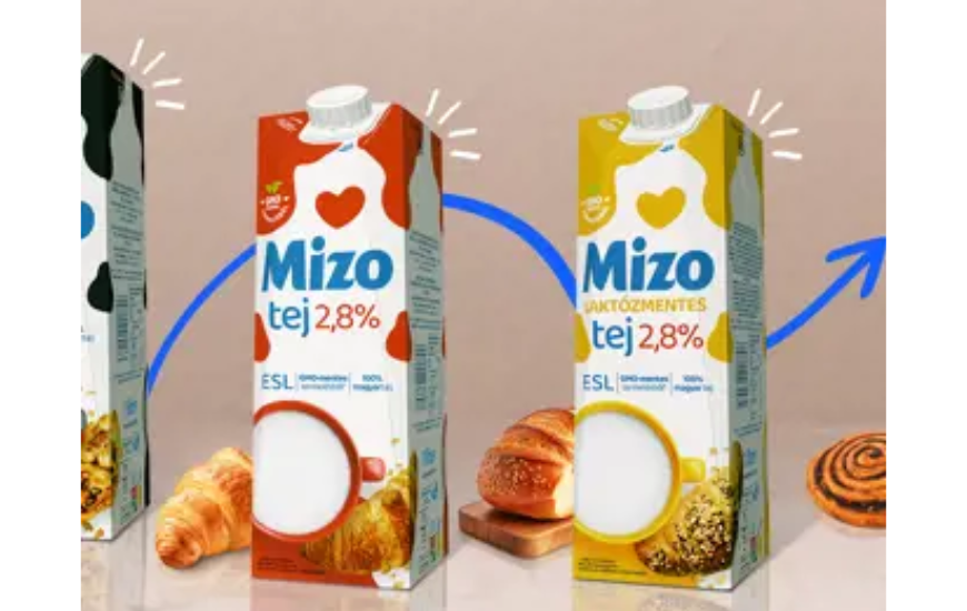 Sole-Mizo Installs SIG Midi 12 Aseptic Filling Machine for Dairy Use