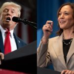 Trump vs. Harris: what each presidency would mean for the green transition