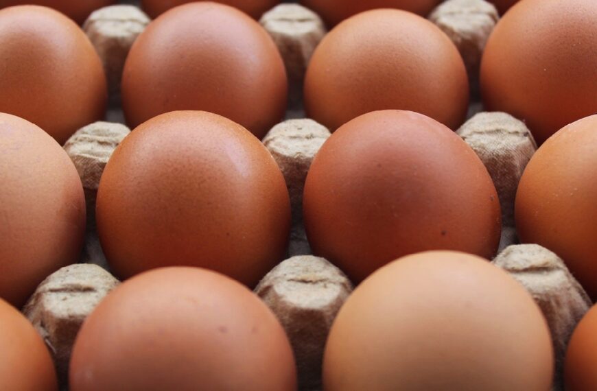 CFIA seeks feedback on labelling guidance for plant-based egg alternatives