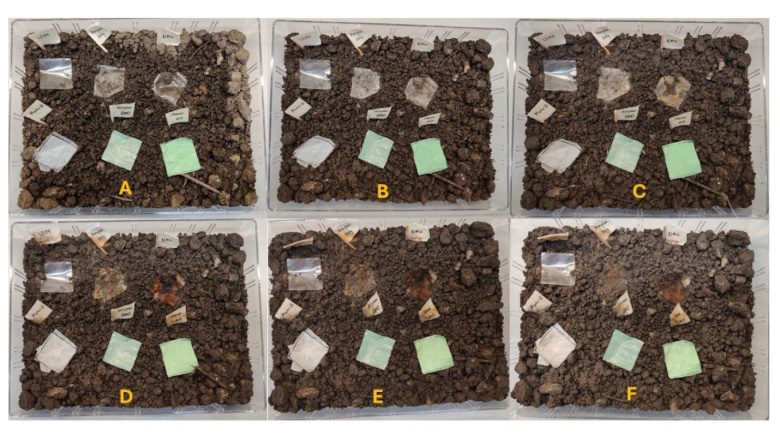 Researchers invent 100% biodegradable 'barley plastic' suitable for food packaging