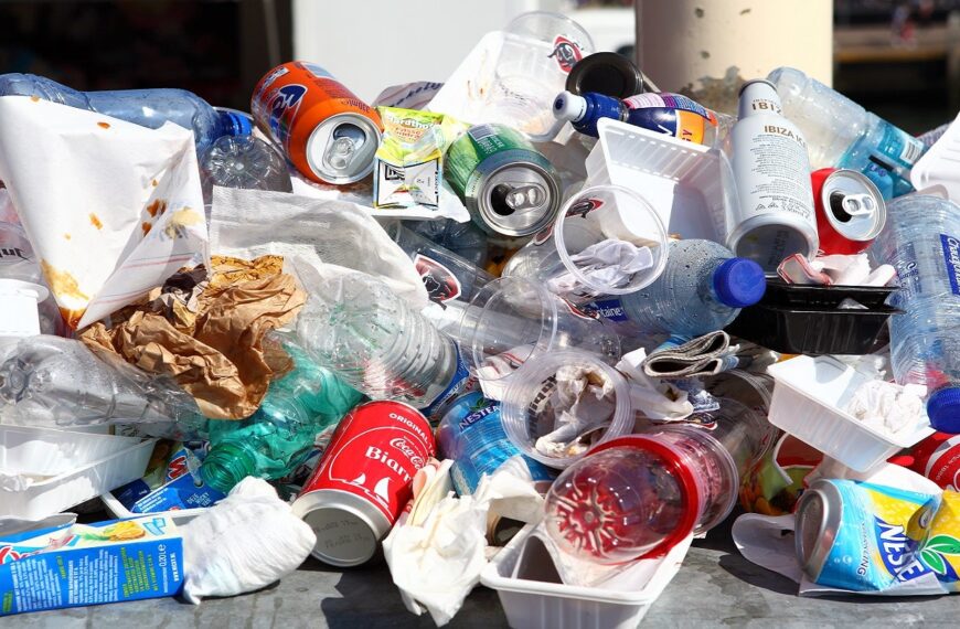 Torfaen County Borough Council approves new recycling bags 