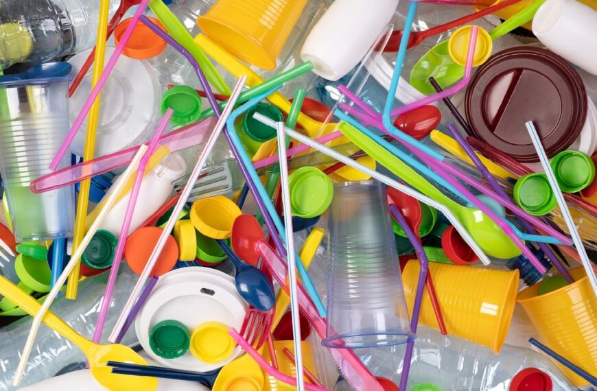 US plans to phase out single-use plastics in federal operations by 2035 
