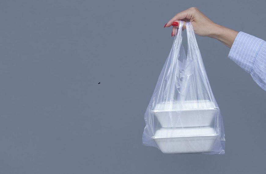 New Oceana Canada poll shows support for ban on single-use plastics  