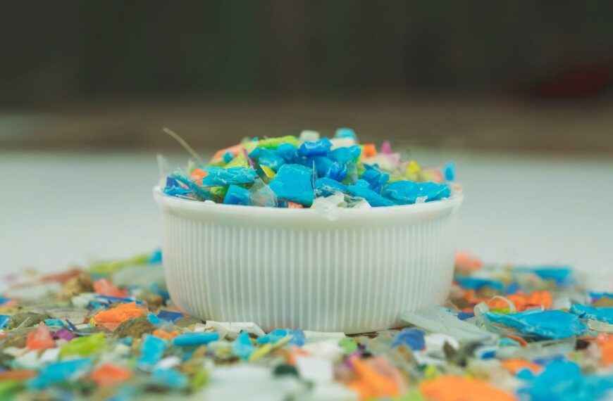 India’s CSIR launches National Mission on Sustainable Packaging