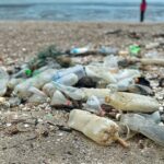 MCS calls for more action to ban or reduce other single-use items 