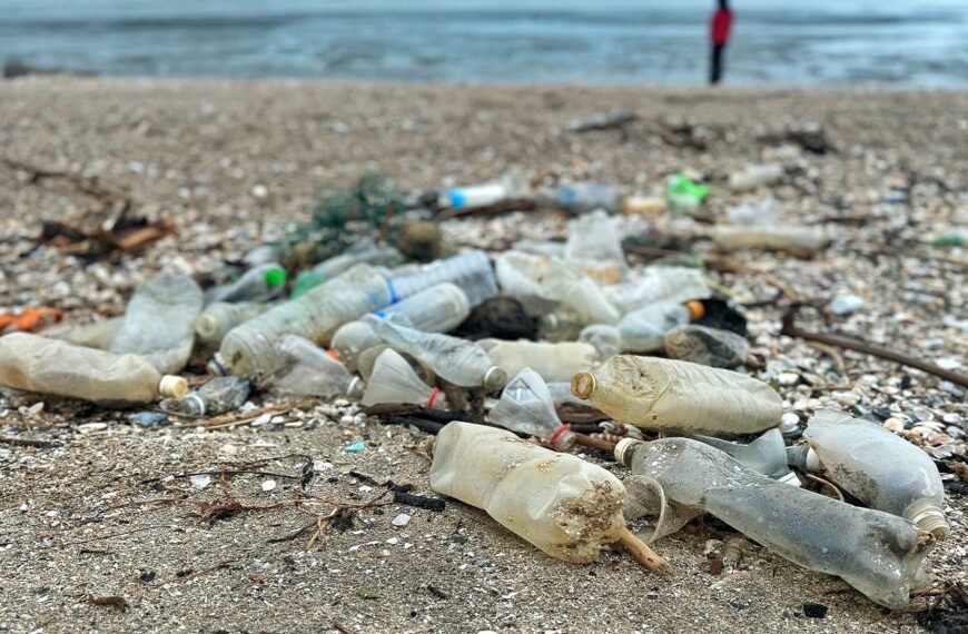 MCS calls for more action to ban or reduce other single-use items 