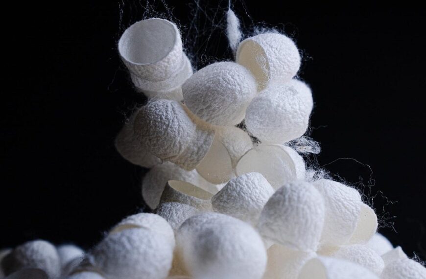 SROA Capital and INOArmor partner for biodegradable bubble wrap alternative