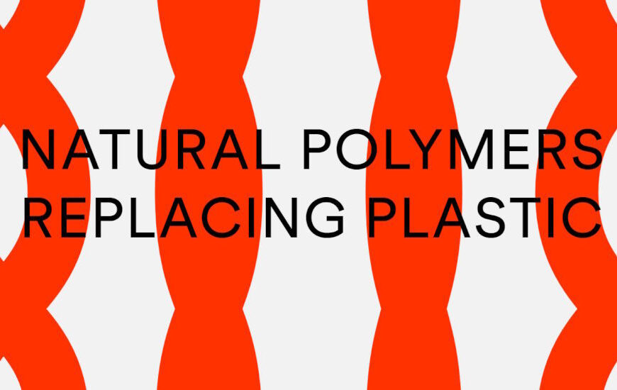 PA Consulting, Searo Labs to produce seaweed-based packaging for global brands