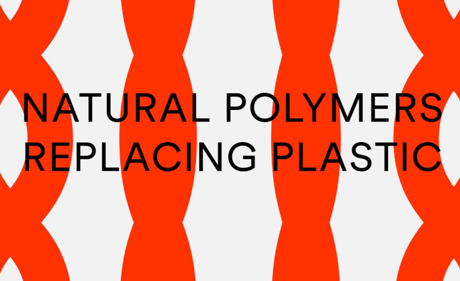 PA Consulting, Searo Labs to produce seaweed-based packaging for global brands