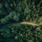 VTT unveils €20m initiative to develop sustainable fibre-based products