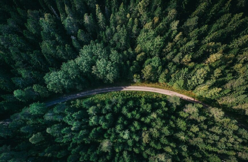 VTT unveils €20m initiative to develop sustainable fibre-based products