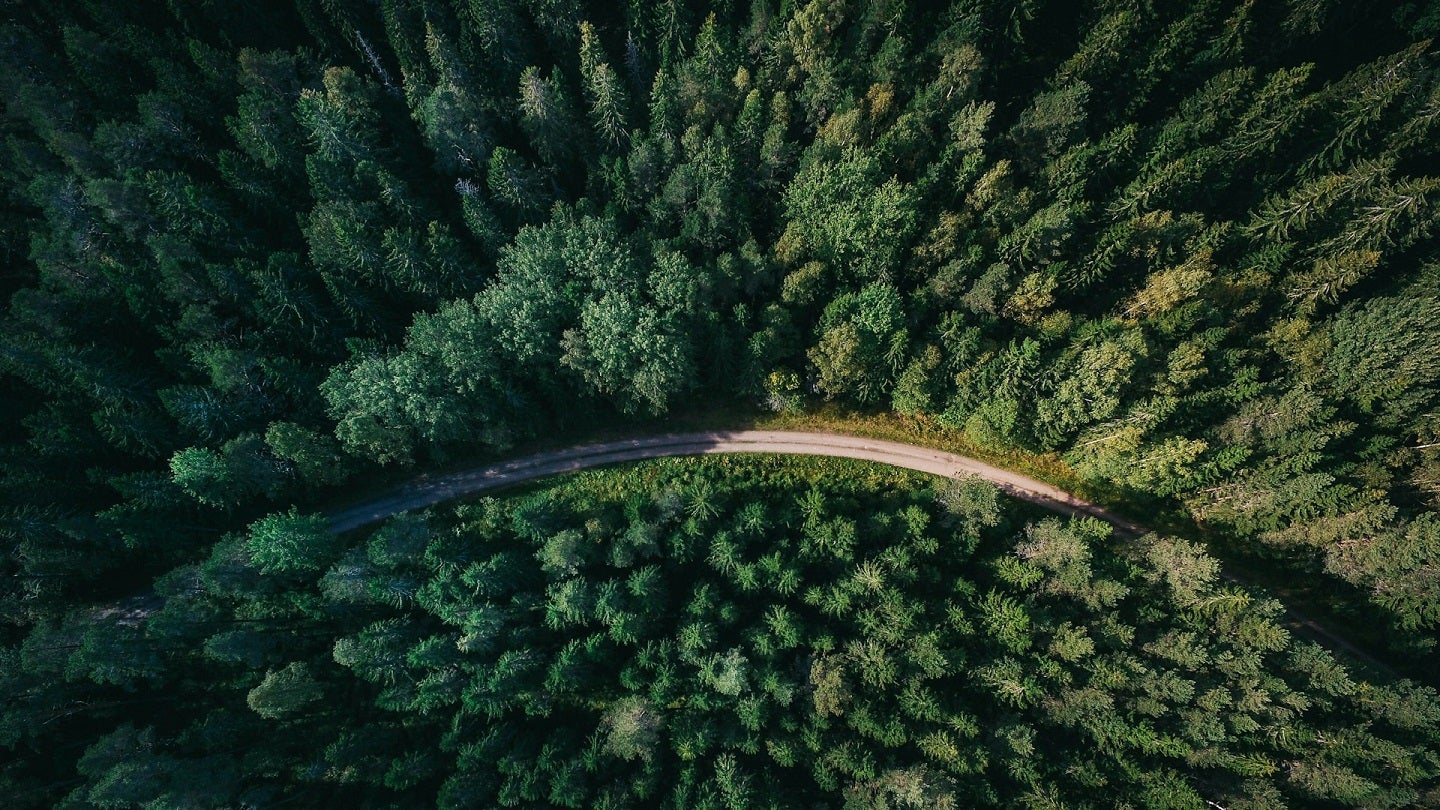 VTT unveils €20m initiative to develop sustainable fibre-based products