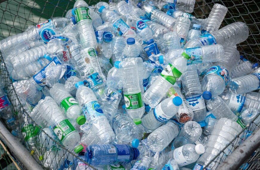 SASA signs LoI with CARBIOS to licence PET biorecycling technology