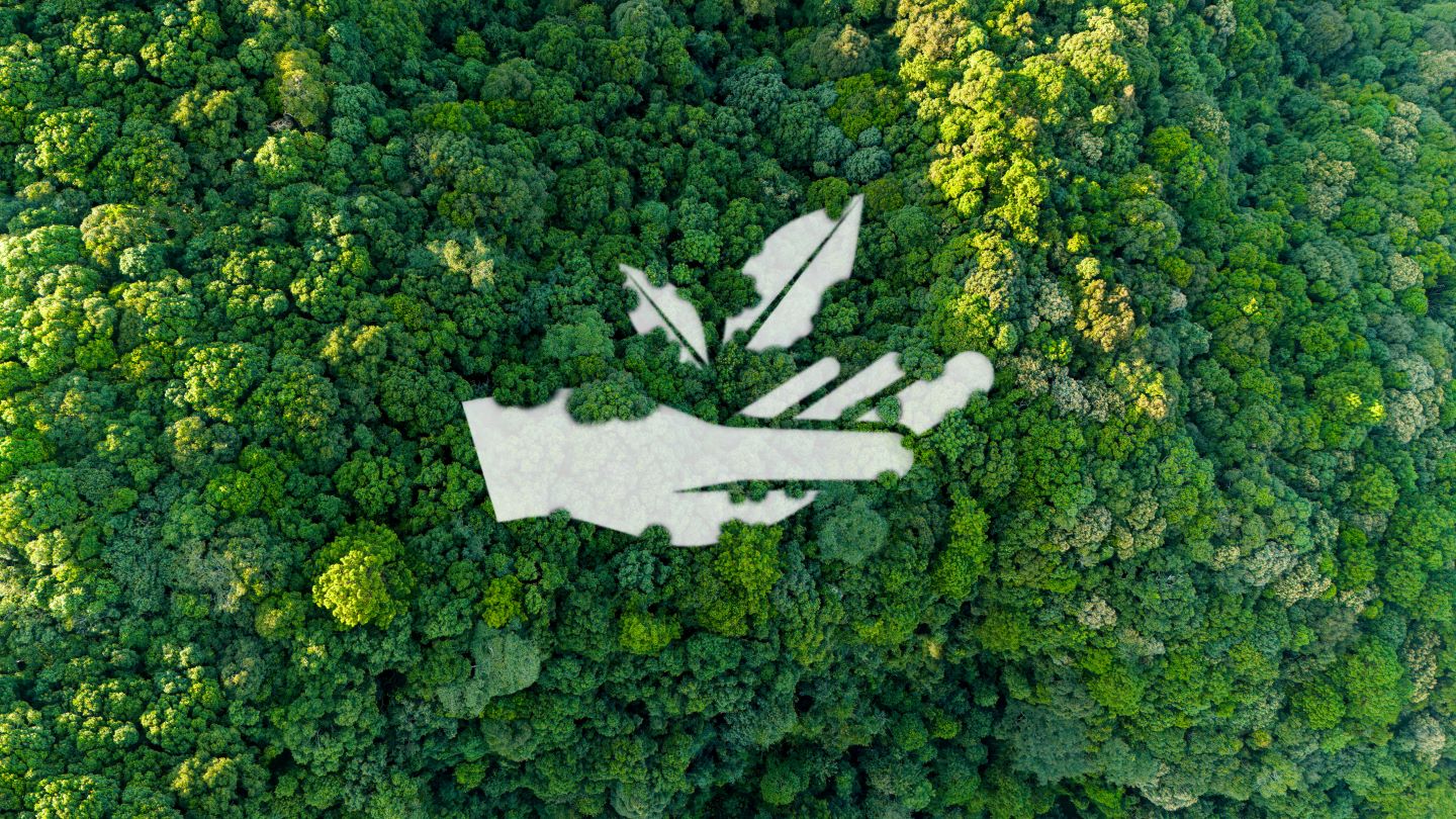 International Paper deepens forest conservation commitments