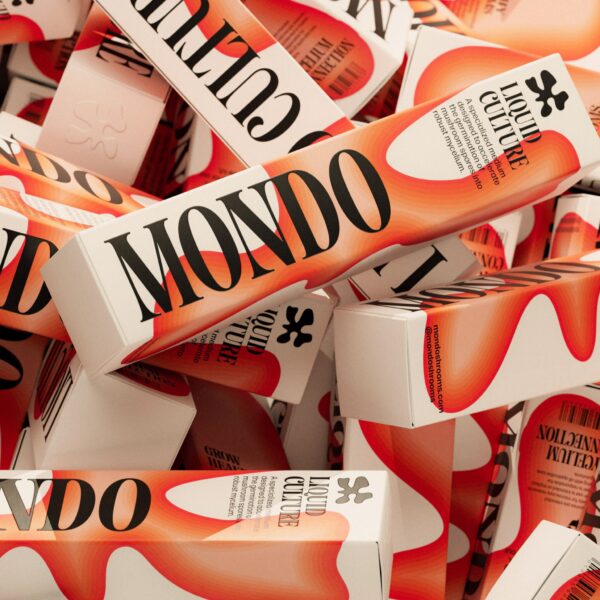 Mondo’s Rebrand Balances Science and Wellness Through a Modern Lens