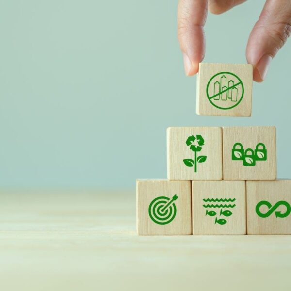 Packaging industry aligns sustainability goals with UK reforms