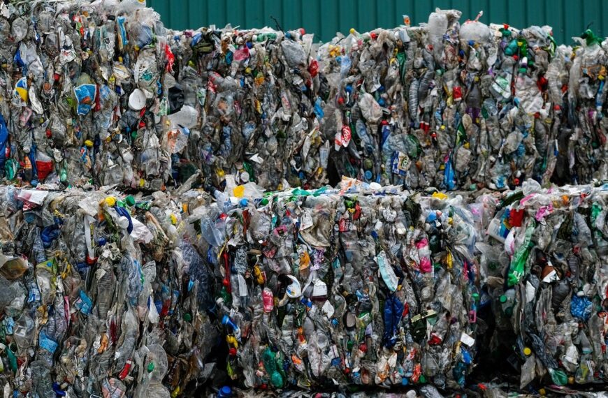 Defra figures show 6% decrease in PPT revenue in FY23-24