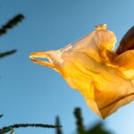 Australian Government invests in soft plastics recycling technology