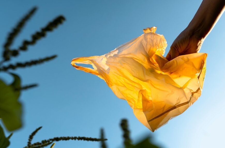 Australian Government invests in soft plastics recycling technology  