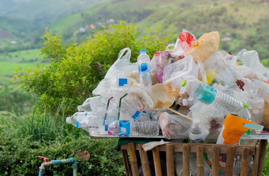 US Plastics Pact releases three reports for sustainable plastic management 