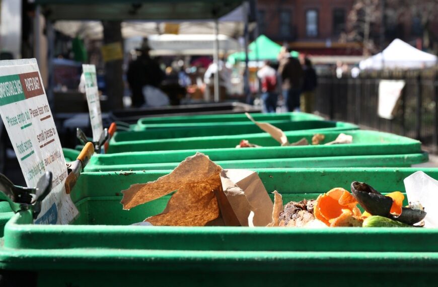 Better Earth launches compost drop-off database