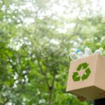 Patagonia partners with Canopy for forest-saving packaging