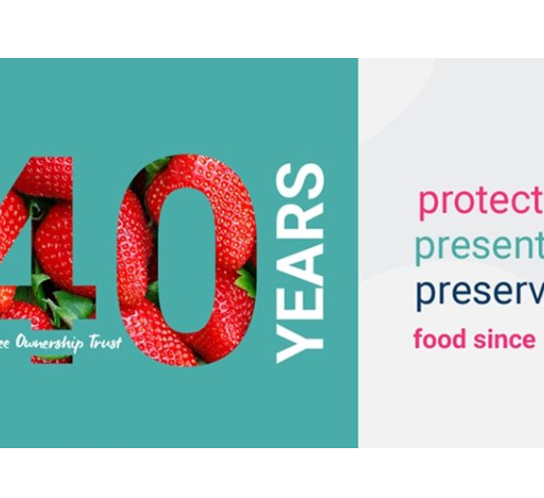 KM Packaging Celebrates 40 Years of Operation