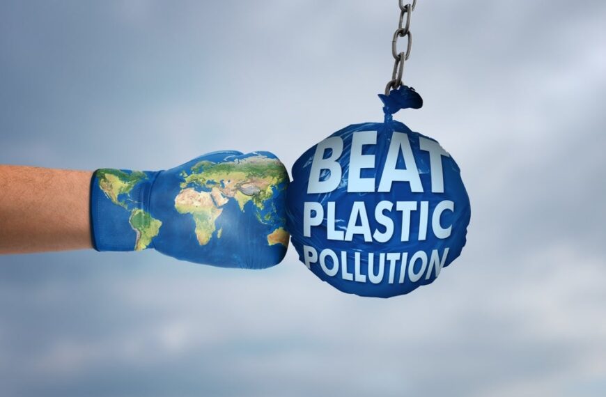 Transforming packaging with sustainable alternatives to plastic