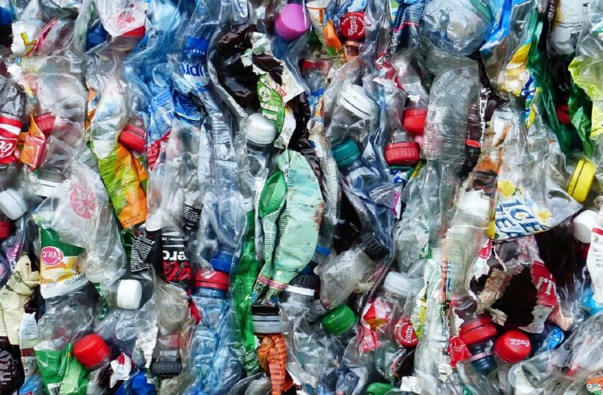 CSIRO and Murdoch University collaborate to create 100% compostable plastic