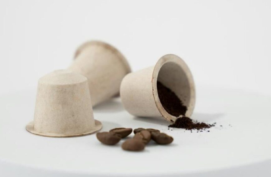 PulPac and others to develop machinery for DMF applications 