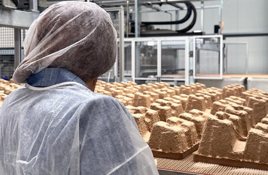 PAPACKS and element6 Dynamics JV to launch RENW in US 