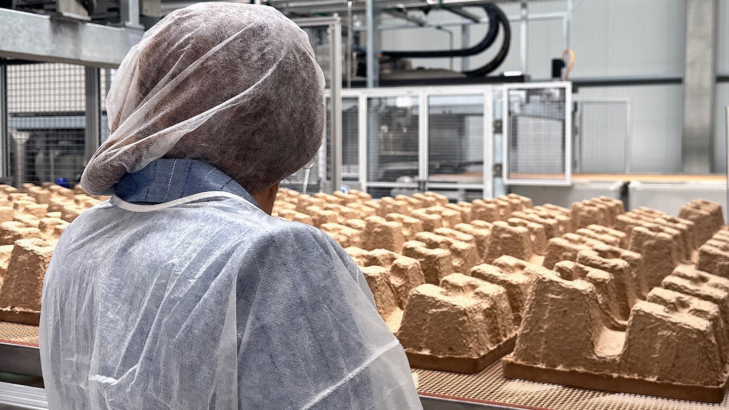 PAPACKS and element6 Dynamics JV to launch RENW in US