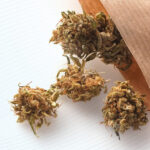 Cannabis Packagers' Can-do Approach