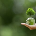 SIG expands forest conservation efforts in Malaysia