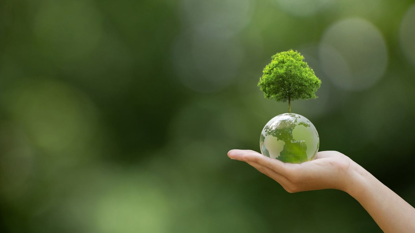 SIG expands forest conservation efforts in Malaysia
