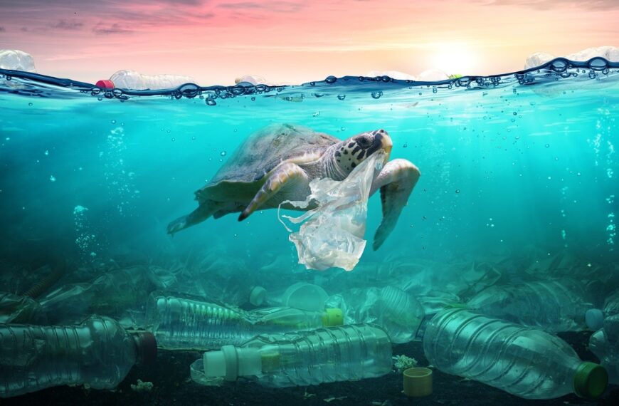 Australia launches consultation to overhauling plastic packaging laws 