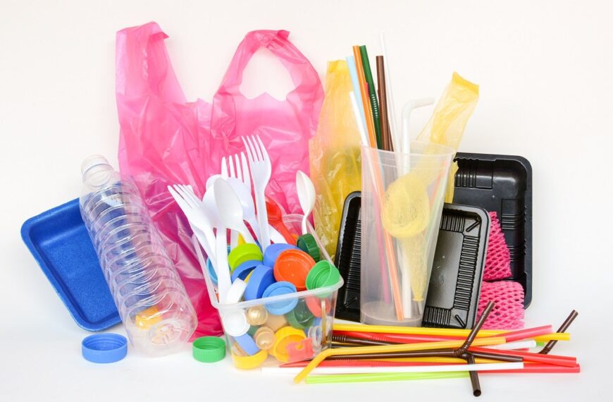 Guinea enacts ban on single-use plastics 
