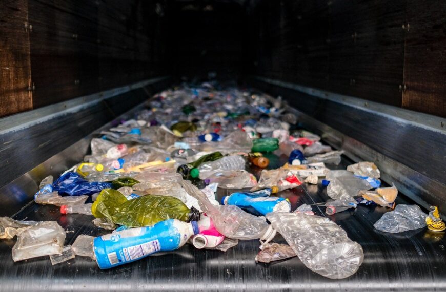 Freepoint Eco-Systems opens new office in Düsseldorf